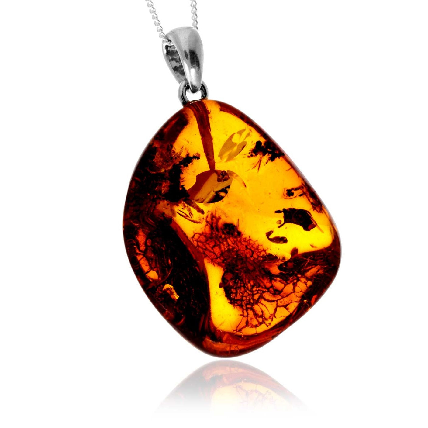 600cd1f36a59a199924b814e78630482