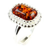 925 Sterling Silver & Genuine Baltic Amber Classic Designer Ring - GL456