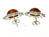 925 Sterling Silver & Genuine Baltic Amber Classic Suns Studs Earrings - 5205