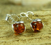 925 Sterling Silver & Baltic Amber Ball Earrings - 5966