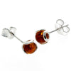 925 Sterling Silver & Baltic Amber Ball Earrings - 5966