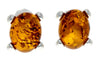 925 Sterling Silver & Baltic Amber Classic Oval Stud Earrings - GL028