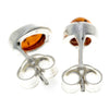 925 Sterling Silver & Baltic Amber Simple Oval Studs Earrings - 8238