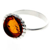 925 Sterling Silver & Baltic Amber Modern Designer Ring - GL731