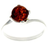 925 Sterling Silver & Baltic Amber Classic Designer Ring - GL442