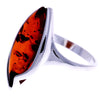 925 Sterling Silver & Baltic Amber Classic Designer Ring - GL710