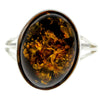 925 Sterling Silver & Genuine Baltic Amber Classic Designer Ring - 7504