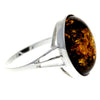 925 Sterling Silver & Genuine Baltic Amber Classic Designer Ring - 7504