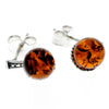 925 Sterling Silver & Genuine Baltic Amber Ball Drop Earrings - 8406