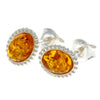 925 Sterling Silver & Genuine Baltic Amber Classic Oval Studs Earrings - AA027