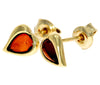 Genuine Baltic Amber and 9ct Gold Studs Heart Earrings - GE005