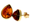 Genuine Baltic Amber and 9ct Gold Studs Classic Teardrop Earrings - GE006