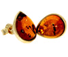 Genuine Baltic Amber and 9ct Gold Studs Classic Teardrop Earrings - GE006