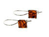 925 Sterling Silver & Genuine Baltic Amber Classic Drop Square Earrings - GL144