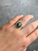 925 Sterling Silver & Baltic Amber Classic Adjustable Ring - GL464